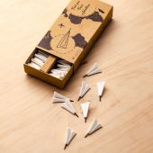 Push Pins Airplane Wings